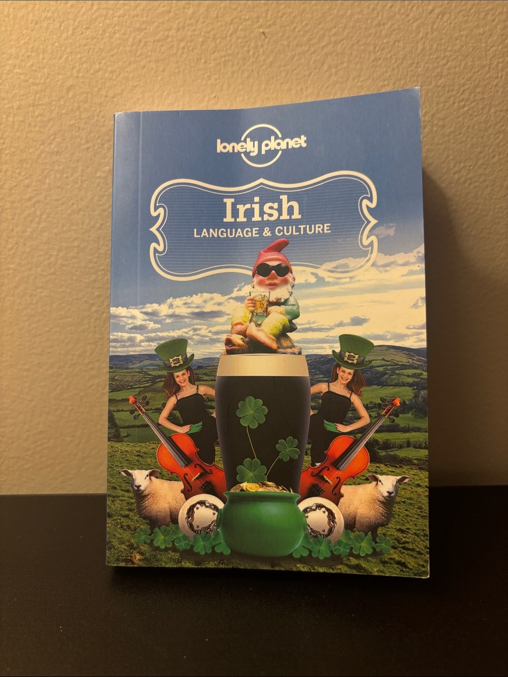 Irish Language & Culture Guide mini book by Lonely Planet